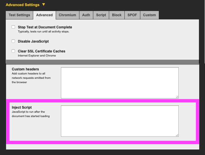 WebPageTest's Advanced Settings Panel showing the Inject Script text box